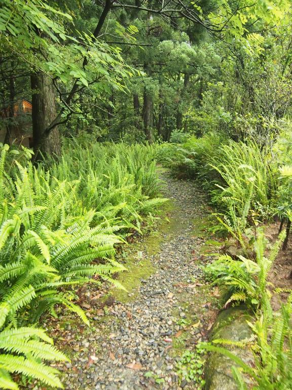 Wa No Cottage Sen-No-Ie Yakushima  Luaran gambar